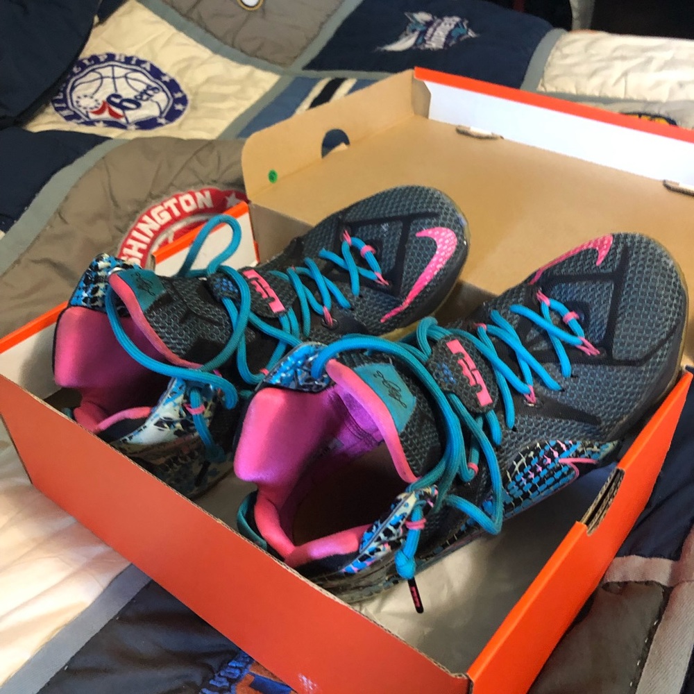 Nike Lebron